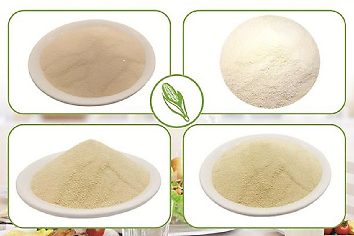 3.1 xanthan gum
