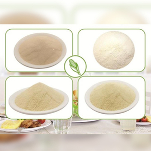 Xanthan gum E415 (80mesh, 200mesh)